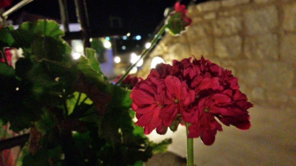 فندق أمازونيس فيليج سويتس خيرسونِسوس المظهر الخارجي الصورة
